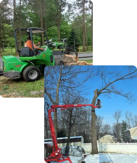 BTS Tree Services crew at work — a compact loader clearing cut timber, and the 40-ton crane lifting a trunk section in a residential yard