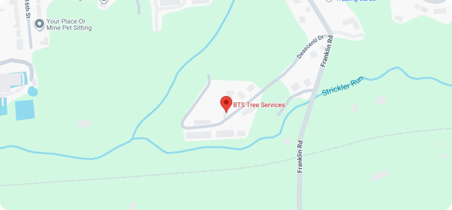 Map showing the BTS Tree Services location on Deascenti Drive in Columbia, Pennsylvania.