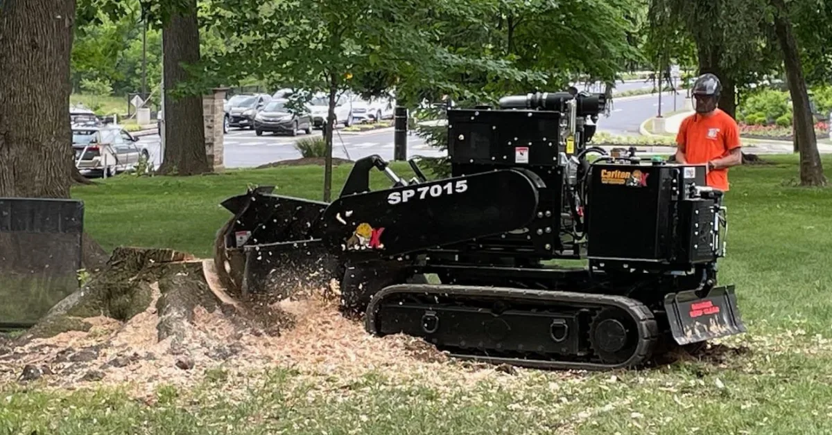 Operator in an orange shirt guiding a compact stump grinder as it chews through a tree stump, throwing wood chips across the grass.
