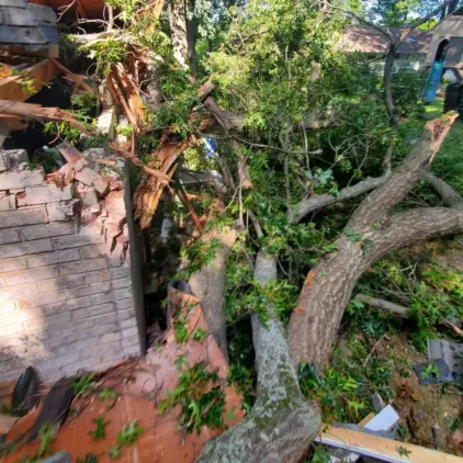 Broken tree limbs pressed against a cracked brick wall following storm damage to a building.