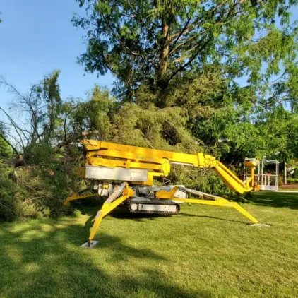 A yellow spider lift crawler with extended tracks and outriggers parked on a lawn beside fallen tree branches.