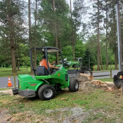 A compact articulated loader with a grapple attachment maneuvers a large cut tree section beside a stump grinder.