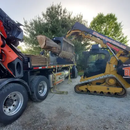 A skid steer with a grapple attachment loads a large cut log onto a flatbed truck.