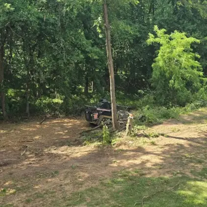 A clearing machine sits at the edge of wooded land beside a freshly cleared dirt path cut through the brush.