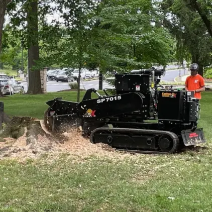 Operator in an orange shirt guiding a compact stump grinder as it chews through a tree stump, throwing wood chips across the grass.