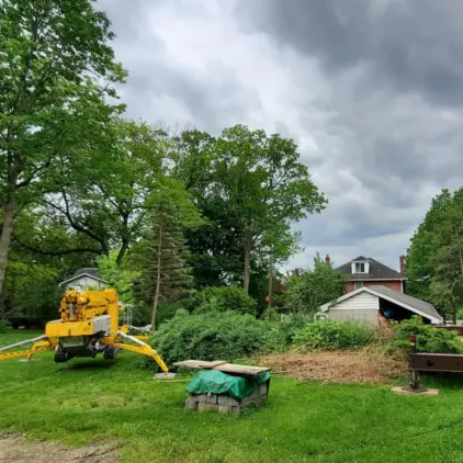 Mobile crane with extended outriggers set up alongside a yellow bucket truck in a residential backyard for tree removal work.