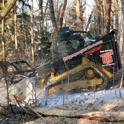 Tracked skid steer with a forestry mulcher head grinding through brush and saplings in a snowy wooded lot.