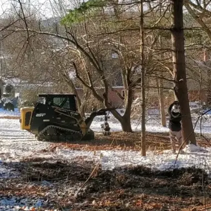 Compact track loader with a grapple saw attachment positioned at a tree base while a worker stands nearby in a snow-covered yard.
