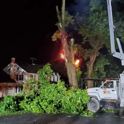 A tree branch sparks and burns at night after contact with overhead power lines near a house.