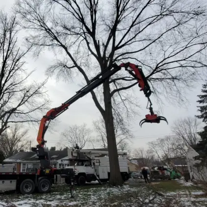 Knuckle-boom crane with a grapple claw reaching into a bare tree beside a bucket truck on a residential street.