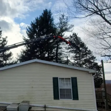 Orange crane arm extended over a house roof between tall evergreen trees under a partly cloudy sky.