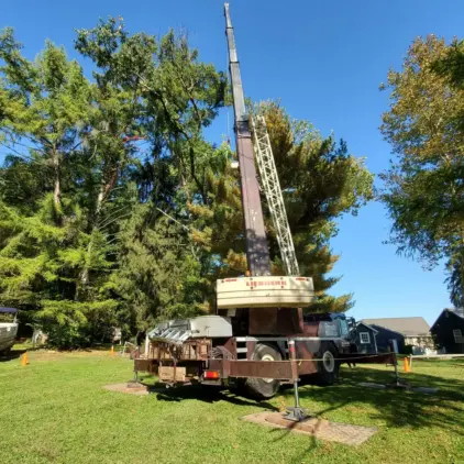 Mobile crane truck with extended boom parked on a lawn near tall evergreen and pine trees.