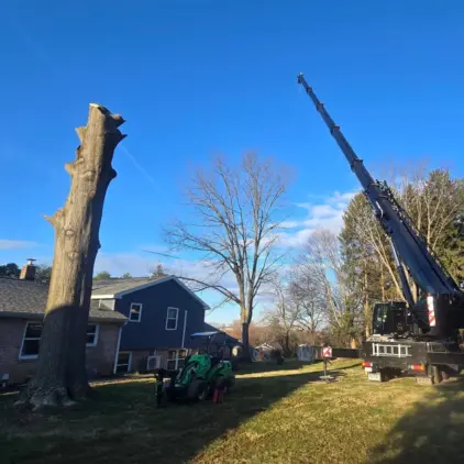 A tall cut tree trunk stands beside a house while a crane truck with an extended boom works nearby among bare trees.