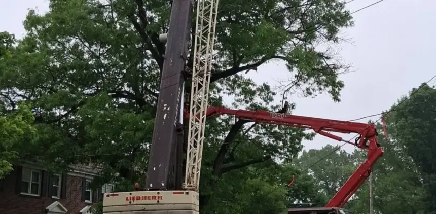 A dark red truck-mounted crane extends its articulated boom into a large tree canopy near a brick building on an overcast day.