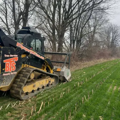 Close-up of a forestry mulching attachment on a tracked skid steer clearing brush along the edge of a grassy field.