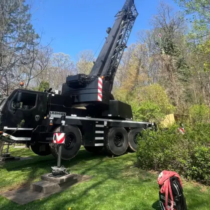 A black all-terrain crane truck with outriggers deployed parked beside dense shrubs and trees on a work site.