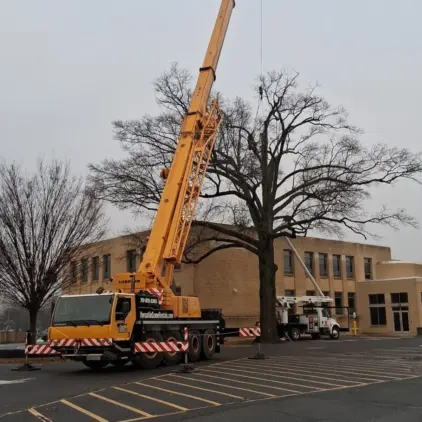 A large yellow crane truck and a white bucket truck are positioned in a parking lot near a bare tree beside a brick commercial building.