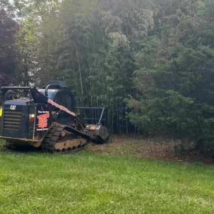 A tracked skid-steer fitted with a mulching head clears dense brush and bamboo at the edge of a mowed lawn.