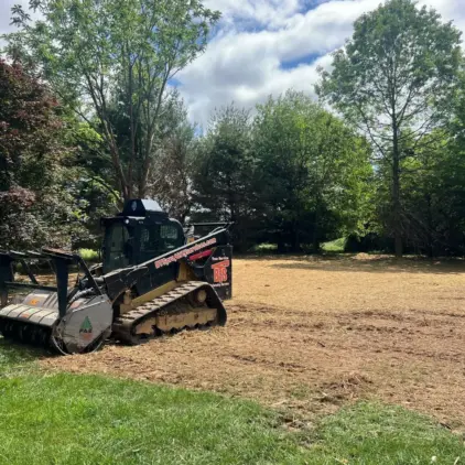 Tracked skid-steer loader with a mulching attachment parked beside a freshly cleared lot surrounded by trees.