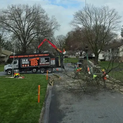A truck-mounted crane lifts large tree branches from a residential street as a crew in safety gear works nearby.