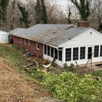 A house with storm-damaged, curled-up roof shingles and a large fallen tree limb lying in the yard below.