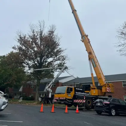 A bucket truck lifts a worker into tree branches near a brick building as a crane and traffic cones wait nearby.