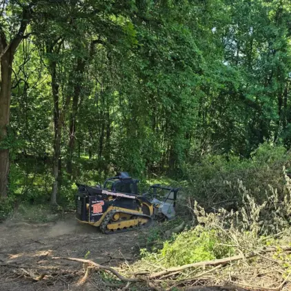 A tracked skid-steer loader fitted with a mulching head clears brush and small trees in a wooded lot, kicking up dust.