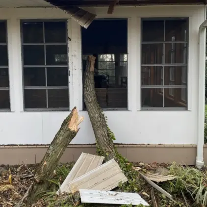 Two broken tree trunk stubs with splintered ends lean against a house wall between the windows of a sunporch.