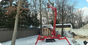Tree removal service