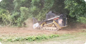 Shrub removal and trimming service
