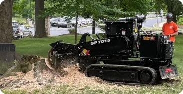 Stump grinding and stump removal service